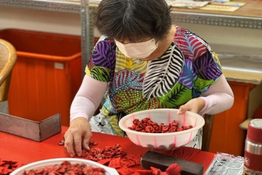 北港朝天宮千歲團志工訪談與影片拍攝