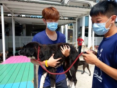 台南市徐園長護生園志工服務活動