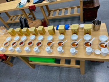 淺山 USR｜茶學交流社群茶聚紀錄