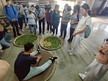 從雲林出發・揉進紅玉的世代故事