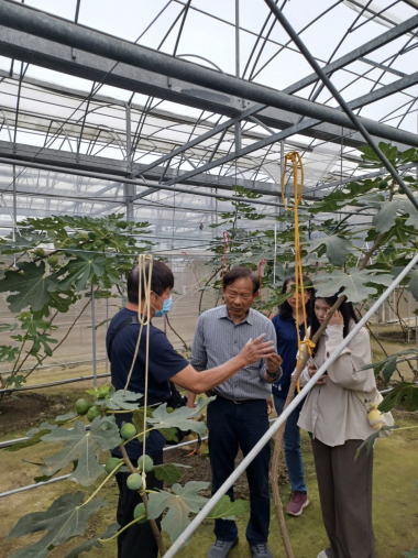 雲林縣地方農特產之品牌整合設計建構