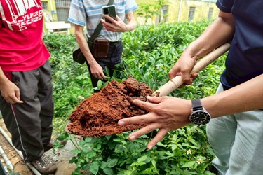 從雲林出發・揉進紅玉的世代故事