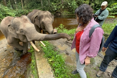 印尼雨林保護的永續教育