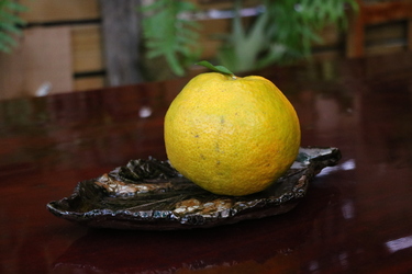 六龜到桂林：桂林開啟新的體驗可能