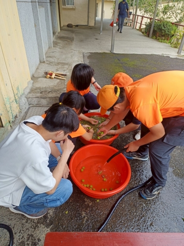 古坑桂林‧打梅趣｜從枝頭到餐桌的學習旅程