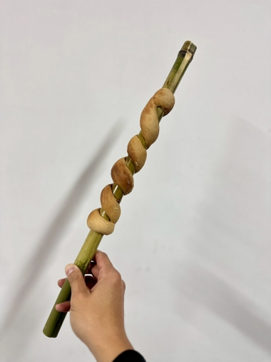 淺山 USR 日常小記｜山上的實驗練習與意外收穫