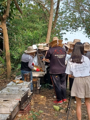雲林縣地方農特產之品牌整合設計建構