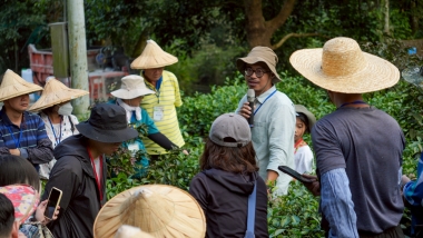 2025淺山盃採茶競賽｜桂林社區熱鬧登場