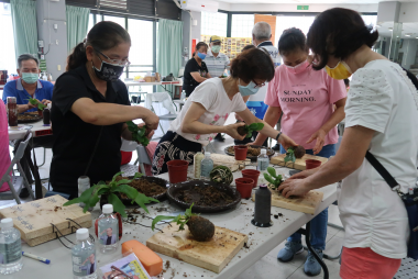 食農基地攝影研習-食農攝影藝術治療
