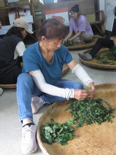 2025 淺山盃製茶競賽｜桂林社區熱鬧登場