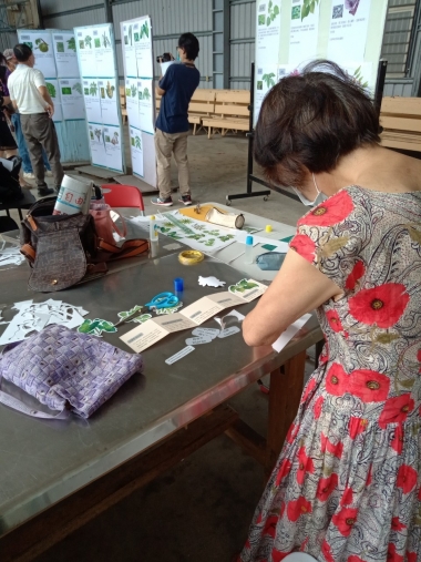 應用參與美學促成原住民社區創意老化-巴宰美學工坊之植物摺頁DIY