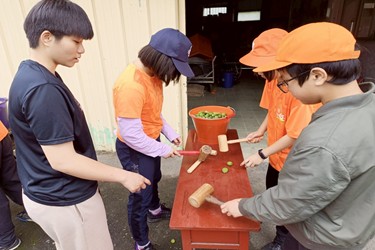 古坑桂林‧打梅趣｜從枝頭到餐桌的學習旅程