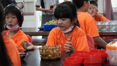 [淺山釀學校]之春季體驗課程-釀梅子