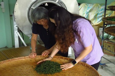 2025 淺山盃製茶競賽｜桂林社區熱鬧登場