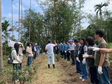 淺山USR行動啟航 臺馬結誼植茶