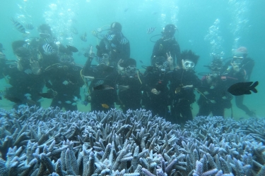 雲科大啟動「2024澎湖復育珊瑚海，共創永續新藍海計畫」強化永續發展教育與落實聯合國永續發展目標