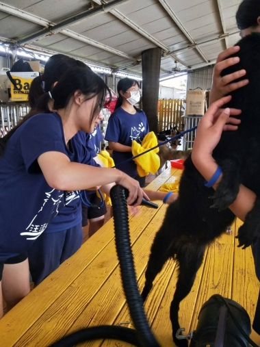 台南市徐園長護生園志工服務活動