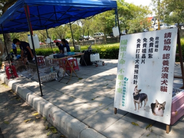 雲林縣古坑鄉綠色隧道送養活動